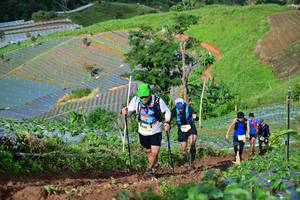 BIB: 297
                            <button type="button" onclick="openModal(13381179)" class="btn btn-primary btn-sm float-right btn-popup" data-toggle="modal" data-target=".modal-high-quality">
                        <i class="fas fa-shopping-cart"></i> Add to Cart
                    </button>
                                            <button type="button" onclick="isThisMe(13381179, true)" class="btn btn-success btn-sm float-right btn-popup btn-isme hidden" data-toggle="tooltip" data-placement="bottom" title="นี่คือรูปของคุณใช่ไหม คลิกที่นี่เพื่อเอาเข้าอัลบั้ม">
                        <i class="fas fa-plus"></i> Add to album
                    </button>
                    <button type="button" onclick="isThisMe(13381179, false)" class="btn btn-warning btn-sm float-right btn-popup btn-isnotme hidden">
                        <i class="fas fa-ban"></i> Remove from album
                    </button>